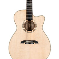 cropped image of an Acoustic Guitar
