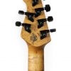 Ernie Ball Music Man Jason Richardson 6-string - Buckeye Burl - Image 16