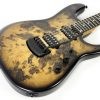 Ernie Ball Music Man Jason Richardson 6-string - Buckeye Burl - Image 3