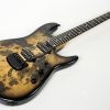 Ernie Ball Music Man Jason Richardson 6-string - Buckeye Burl - Image 4