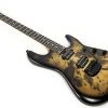 Ernie Ball Music Man Jason Richardson 6-string - Buckeye Burl - Image 7