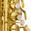 P. Mauriat Intermediate Alto Saxophone - LeBravo200A - Image 3
