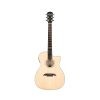Alvarez Yairi Stage Bob Weir Model Model Cedar/Rosewood - WY1