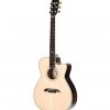 Alvarez Yairi Stage Bob Weir Model Model Cedar/Rosewood - WY1 - Image 3