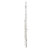 Blessing Standard Series Flute BFL-1287 - Silver Plated Nickel