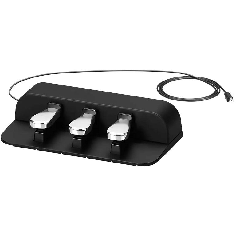casio pedal unit