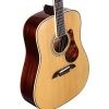Alvarez Masterworks Bluegrass Dreadnought - MD60BG - Image 3