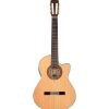 Alvarez Yairi Standard Concert Classical Cedar/Rosewood AE w/Cutaway