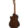 Alvarez Yairi Standard Concert Classical Cedar/Rosewood AE w/Cutaway - Image 4