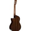 Alvarez Yairi Standard Concert Classical Cedar/Rosewood AE w/Cutaway - Image 5