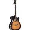 Alvarez Yairi Stage Bob Weir Model Cedar/Rosewood - WY1TS - Image 2