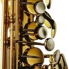 P. Mauriat Professional Alto Saxophone 'Grand Dreams,' Cognac Lacquer - PMSA285 - Image 2