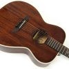 Alvarez Yairi Honduran Masterworks Folk/OM FYM66HDE w/ LR Baggs - 74438 - Image 4