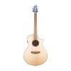Breedlove Discovery S Concert CE European-African mahogany