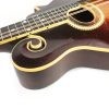 The Gibson Mandolin F2 - 1928-1929 - Image 10