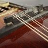 The Gibson Mandolin F2 - 1928-1929 - Image 11