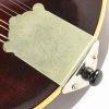 The Gibson Mandolin F2 - 1928-1929 - Image 12