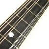 The Gibson Mandolin F2 - 1928-1929 - Image 15