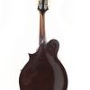 The Gibson Mandolin F2 - 1928-1929 - Image 21