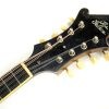 The Gibson Mandolin F2 - 1928-1929 - Image 8