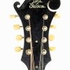 The Gibson Mandolin F2 - 1928-1929 - Image 9