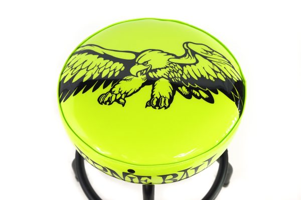Ernie Ball 24