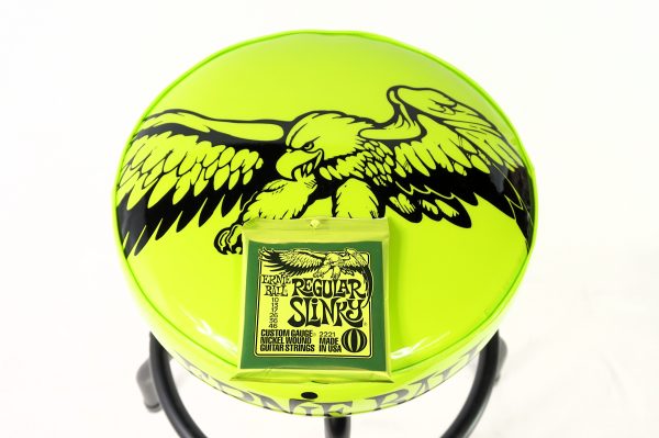 Ernie Ball 24